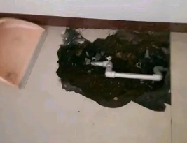 曹妃甸卫生间测漏水多少钱
